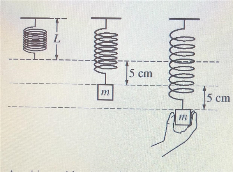 An object with mass m is suspended at rest from a spring with a spring constant of-example-1