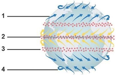 Which point shows the prevailing westerlies? 1 2 3 4-example-1