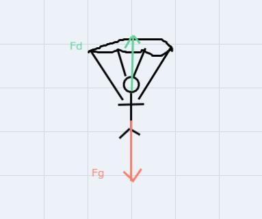 A skydiver opens his parachute, and shortly thereafter, he is moving at constant velocity-example-1