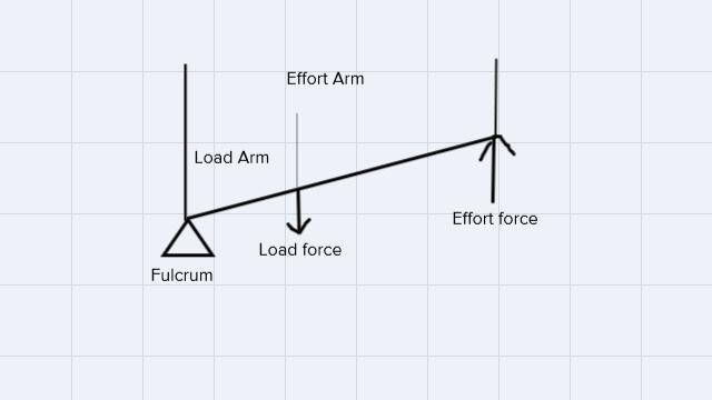 find examples of levers and determine the location of the fulcrums, effort force, load-example-2