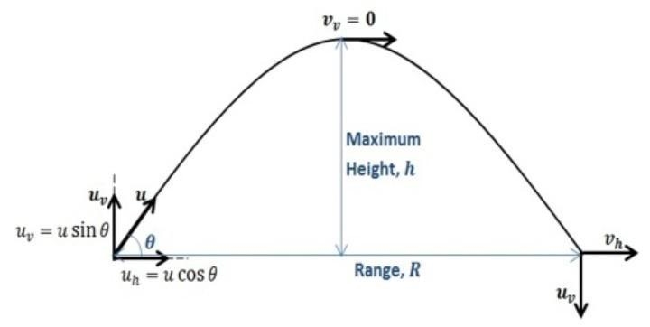 In projectile motion, why don't we add acceleration due to gravity on the formula-example-1