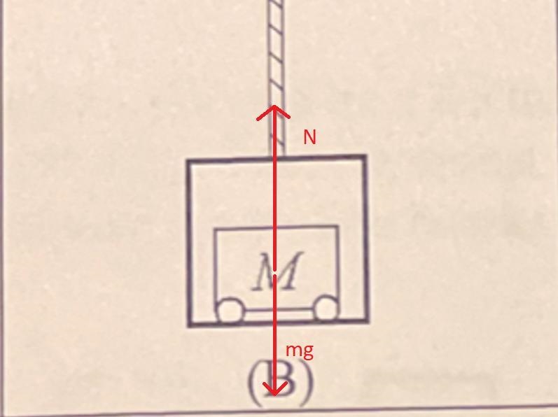 Consider a cart of mass M that can roll on frictionless bearings. In which of the-example-2