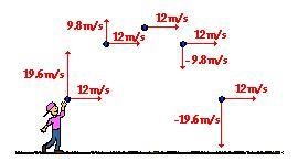 The path of a stunt car that is driven off a cliff follows a curve typical of a projectile-example-1