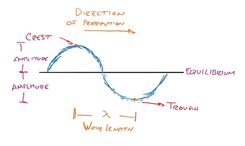 What is a transverse wave? Draw one and label the following features on your drawing-example-1