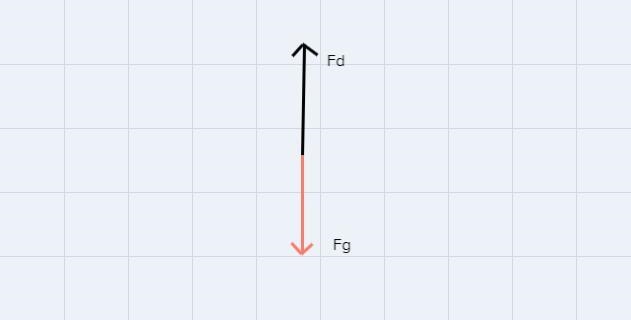 Consider when and individual skydives out of a plane. First, draw a force body diagram-example-1