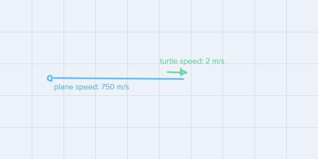 A turtle is riding a plane moving forward at 750 m/s. The turtle walks towards the-example-1