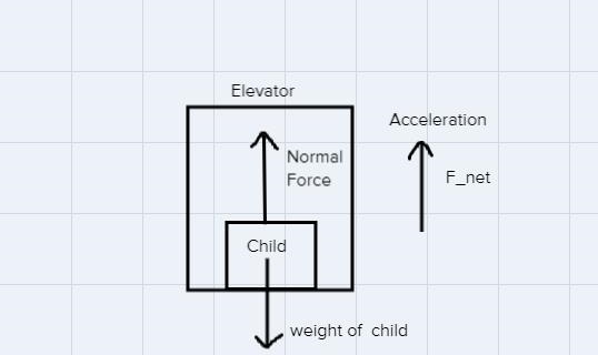 A child with a mass of 40Kg is standing on a scale in an elevator. The elevator is-example-1