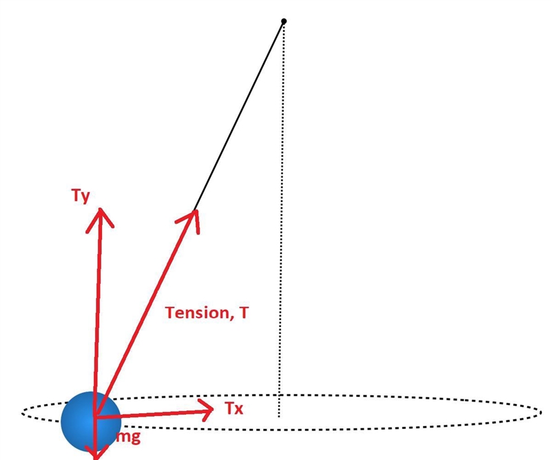 A rubber ball is attached to a 1.44m string and spin in a horizontal circle. The tension-example-1