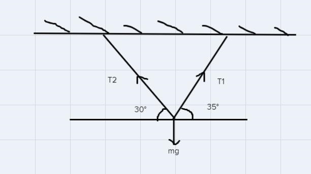 2. An object of mass 100 kg is hanging from a ceilingby means of two strings. The-example-1