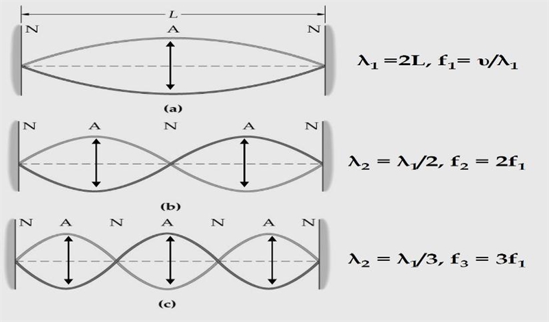 answer question 12 pleasepart b: if the frequency is doubled how many loops will be-example-1