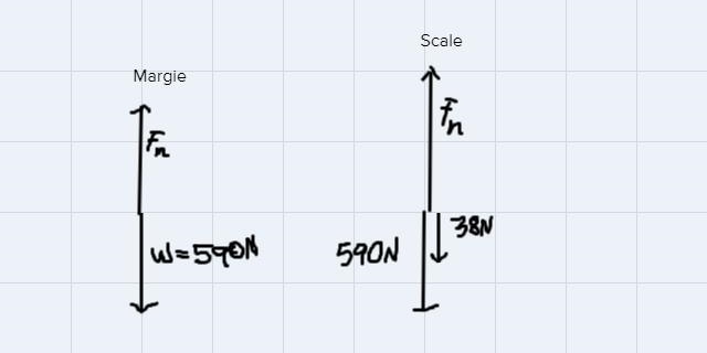 Margie, who weighs 590 N, is standing on a bathroom scale that weighs 38.0 N. With-example-1