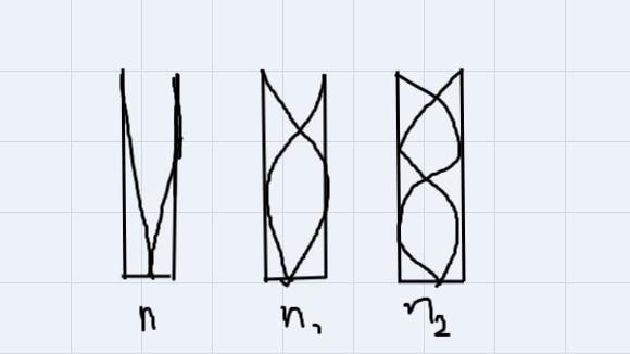 3.Draw diagrams to show the first three modes of resonance in the following instruments-example-3