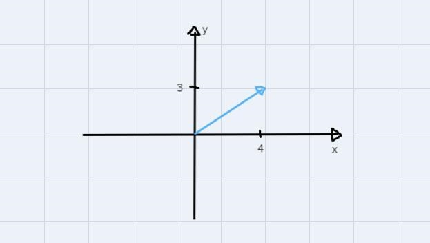 Define vector and state two examples.-example-1