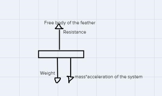 A 1.32 kg hammer and a 0.03 kg falcon feather are simultaneously dropped on the Moon-example-1