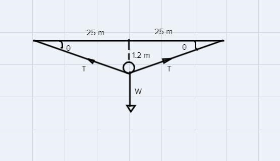 A tightrope walker with a mass of 60.0 kg stands at the center of a rope which was-example-1