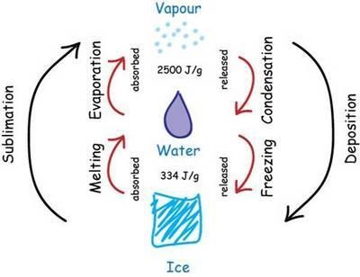 How much heat must be removed from 750 grams of water at 0°C to form ice at 0°C?-example-1