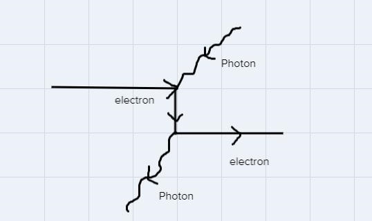 In Fig. 1 complete the Feynman Diagram by referring to the Primitive Diagram and attaching-example-1