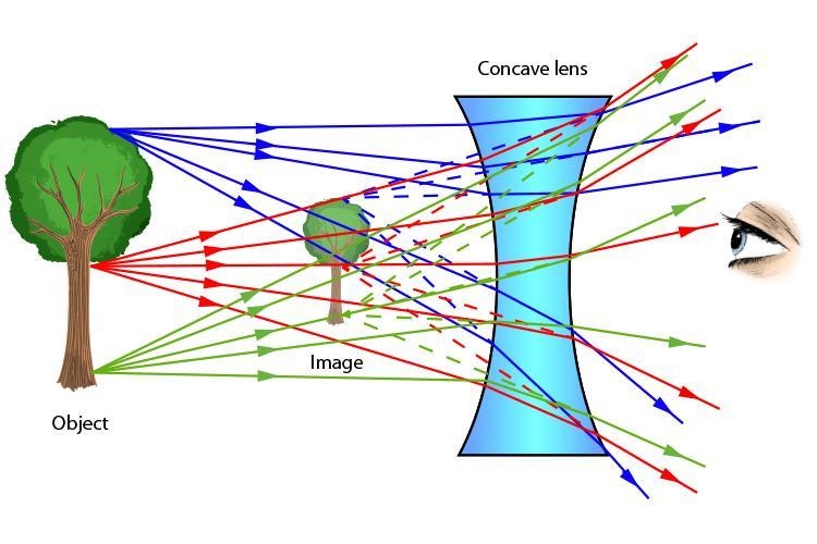 An object is placed 3.00 cm in front of a concave lens with a focal length of 5.00 cm-example-1