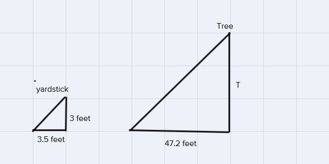 Henri's neighbor wants to cut down a tree, but Henri is worried because it will fall-example-1