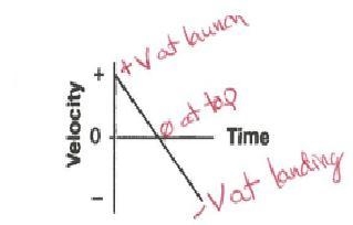 A student throws a baseball vertically upward and then catches it. What would that-example-1