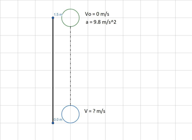 The BasketballLet’s assume a basketball is dropped from a height of 1.5 m. How long-example-1