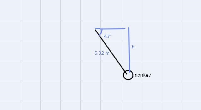 A 16.9 kg monkey is swinging on a5.32 m long vine. It starts at rest,with the vine-example-1