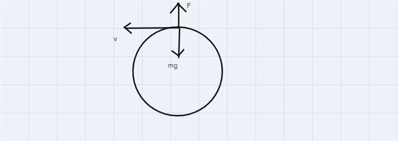 Draw a uniform motion Free-body diagram-example-1