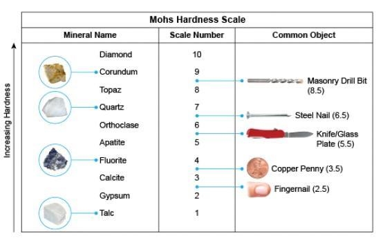 Based on the Mohs Hardness Scale, which mineral could be scratched by a penny but-example-1