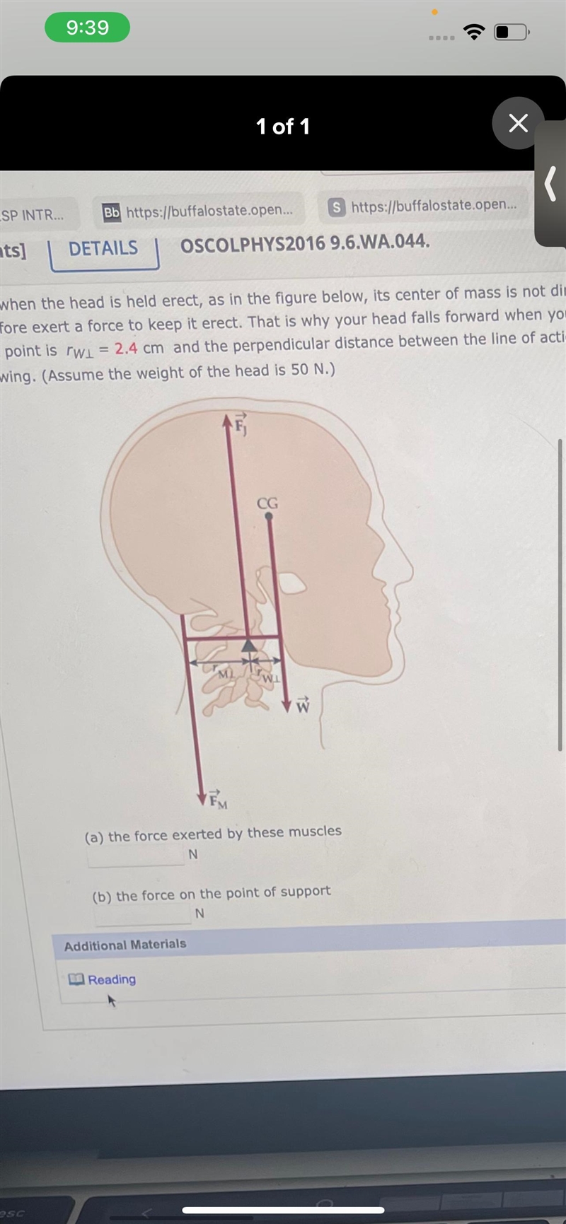 Even when the head is held erect, as in the figure below, its center of mass is not-example-1