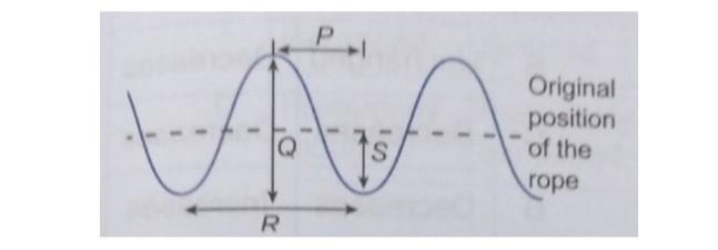 Q13: Which distance P, Q, R, or S, represents the amplitude of the wave below? ​-example-1