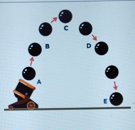 HELP ME OUT PLEASE!!!!! 4) This model shows a ball being shot from the cannon. Which-example-1