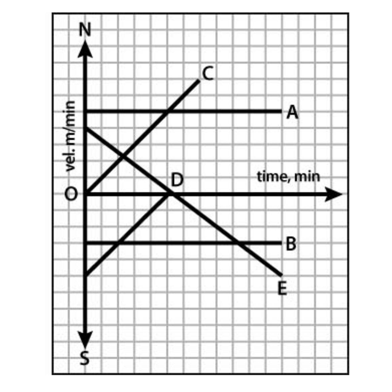 The object represented by line E does not stop. Is this true or false?-example-1