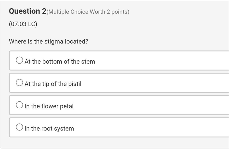 Where is the stigma located?​-example-1