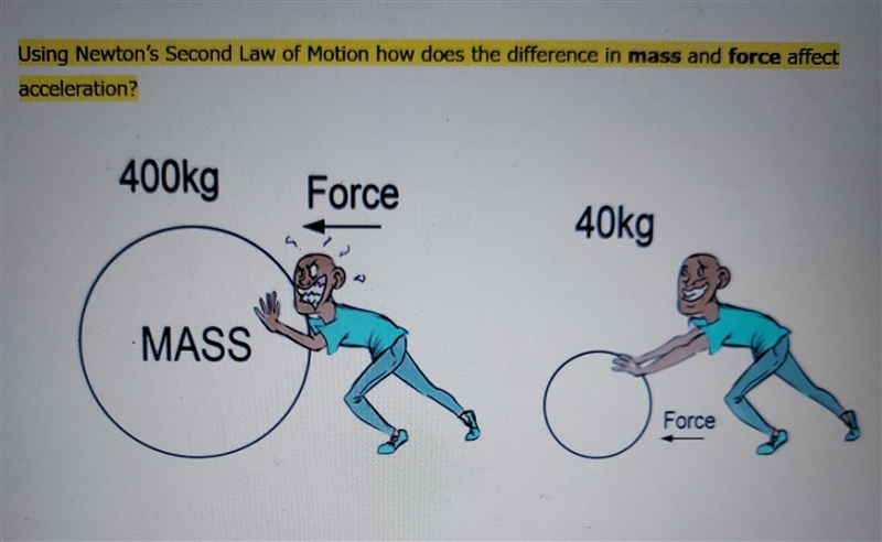 Using Newton's Second Law of Motion how does the difference in mass and force affect-example-1