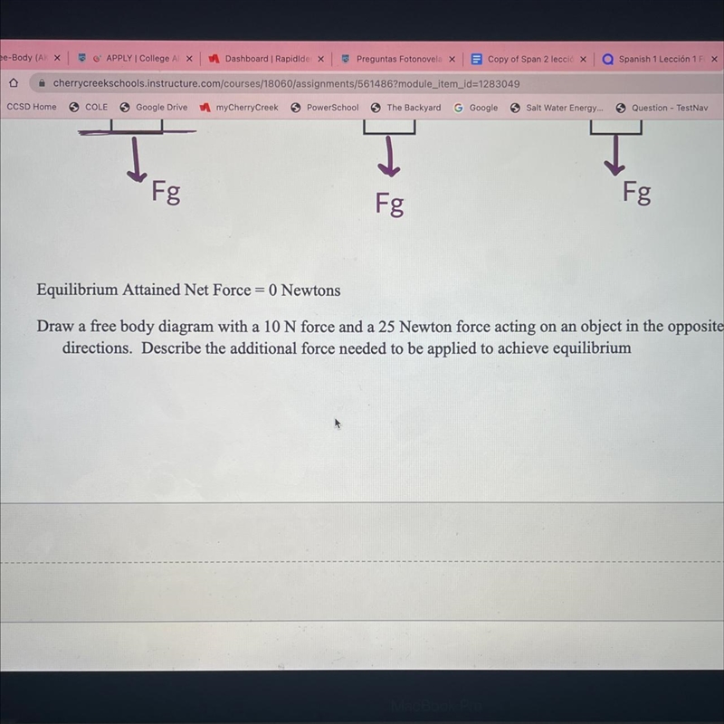 Equilibrium Attained Net Force = 0 NewtonsDraw a free body diagram with a 10 N force-example-1