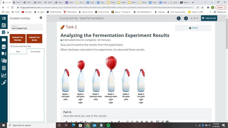 Explain why sugar was used in this experiment. How does the experiment relate to a-example-1