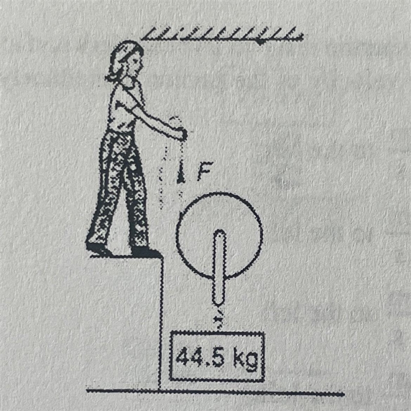 What force F must be needed to lift the 44.5-kg block at constant velocity?(a) 22.3 N-example-1