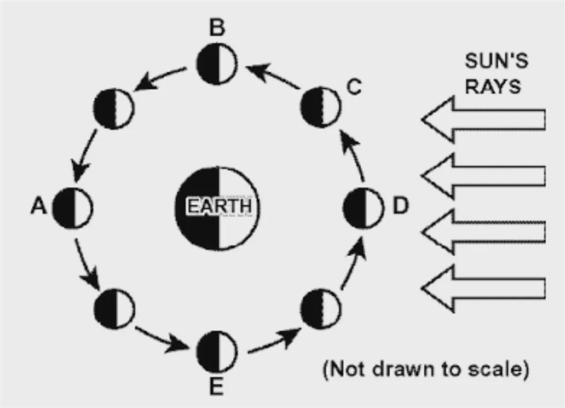 The diagram below represents the Moon in various positions of its orbit around Earth-example-1