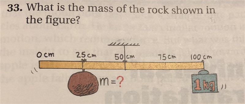 33. What is the mass of the rock shown inthe figure?uGuess0cm25cm50cm75cm100cmm=?1 kg-example-1