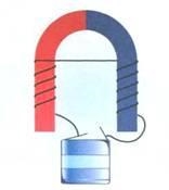 5. Identify the poles of the cell battery and the direction of current in the circuit-example-1