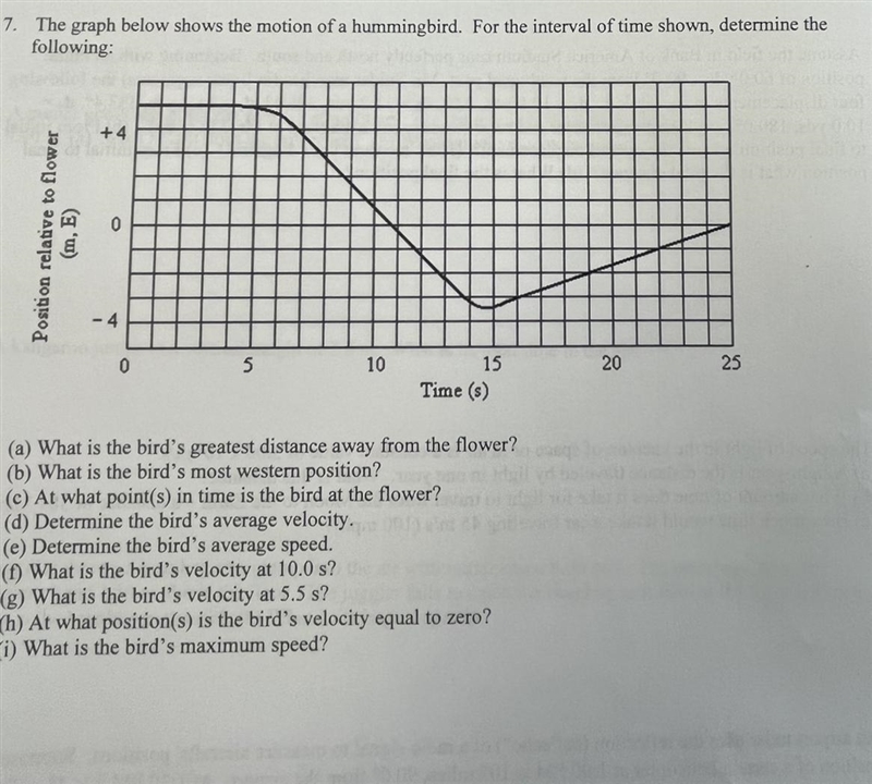 The graph below shows the motion of a hummingbird. For the interval of time shown-example-1