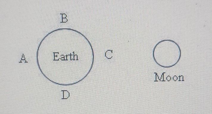 Which points in the diagram would have Spring tides? points A and B points A and C-example-1