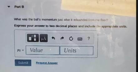 Part C: What was the ball's change in the momentum during its impact with the floor-example-3