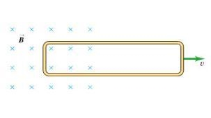 A rectangular loop of wire with dimensions 1.80 cm by 9.00 cm and resistance 0.800 Ω is-example-1