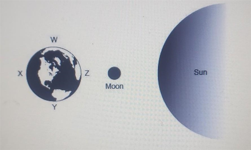 The diagram below show the earth and the sun, as well as four different possible positions-example-1