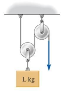 You want to lift a heavy box with a mass L = 64.0 kg using the two-ideal pulley system-example-1