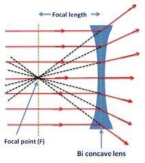 Which of the pictures below shows a concave lens?Select one:a. Ab. Bc. Cd. D-example-1