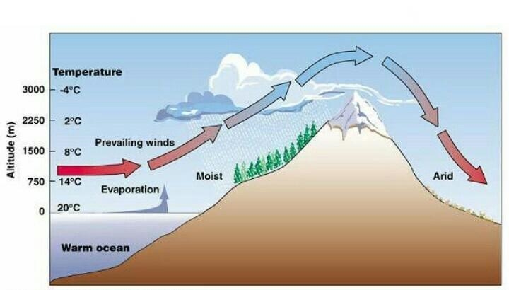 How does wind affect the amount of rain? 3 or sentence ​-example-1