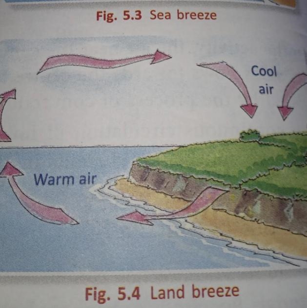 Write short note on land and sea breeze. diagram needed ​-example-1