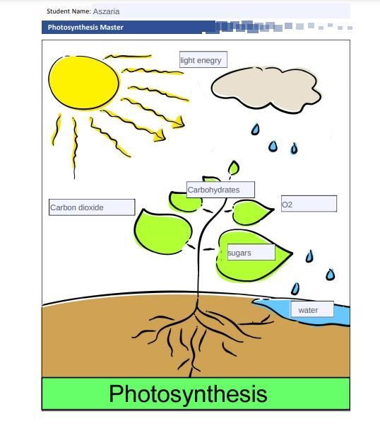 PLEASE HELP!!!! Photosynthesis Assignment. Now that you have learned about photosynthesis-example-1